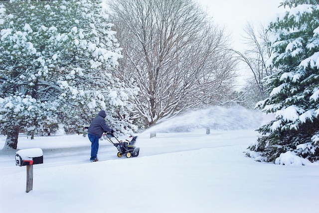 Read more about the article The 5 Most Common Reasons Your Snow Blower Will Not Start